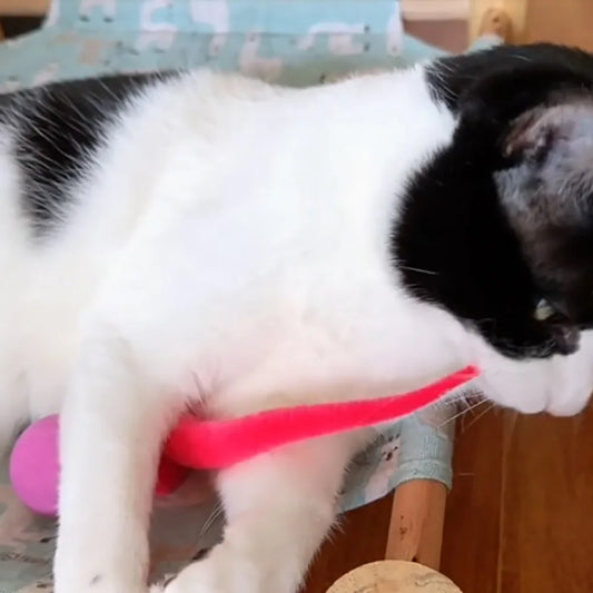 Peluche juguete para gato con cola larga y pelota, bola interactiva para entrenar gatos con aro de madera, juguete para mascotas