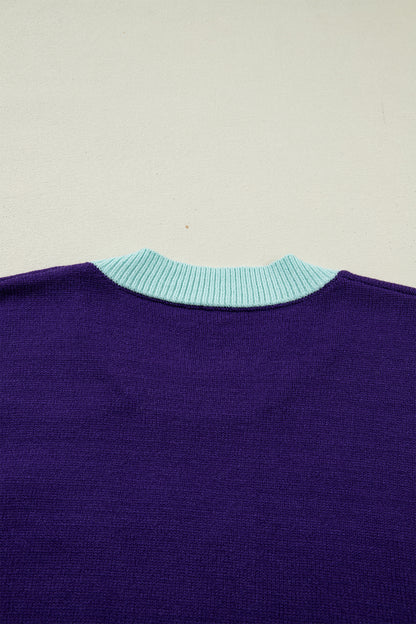 Tillandsia Purple Colorblock Patchwork Fuzzy Mardi Gras Graphic Sweater