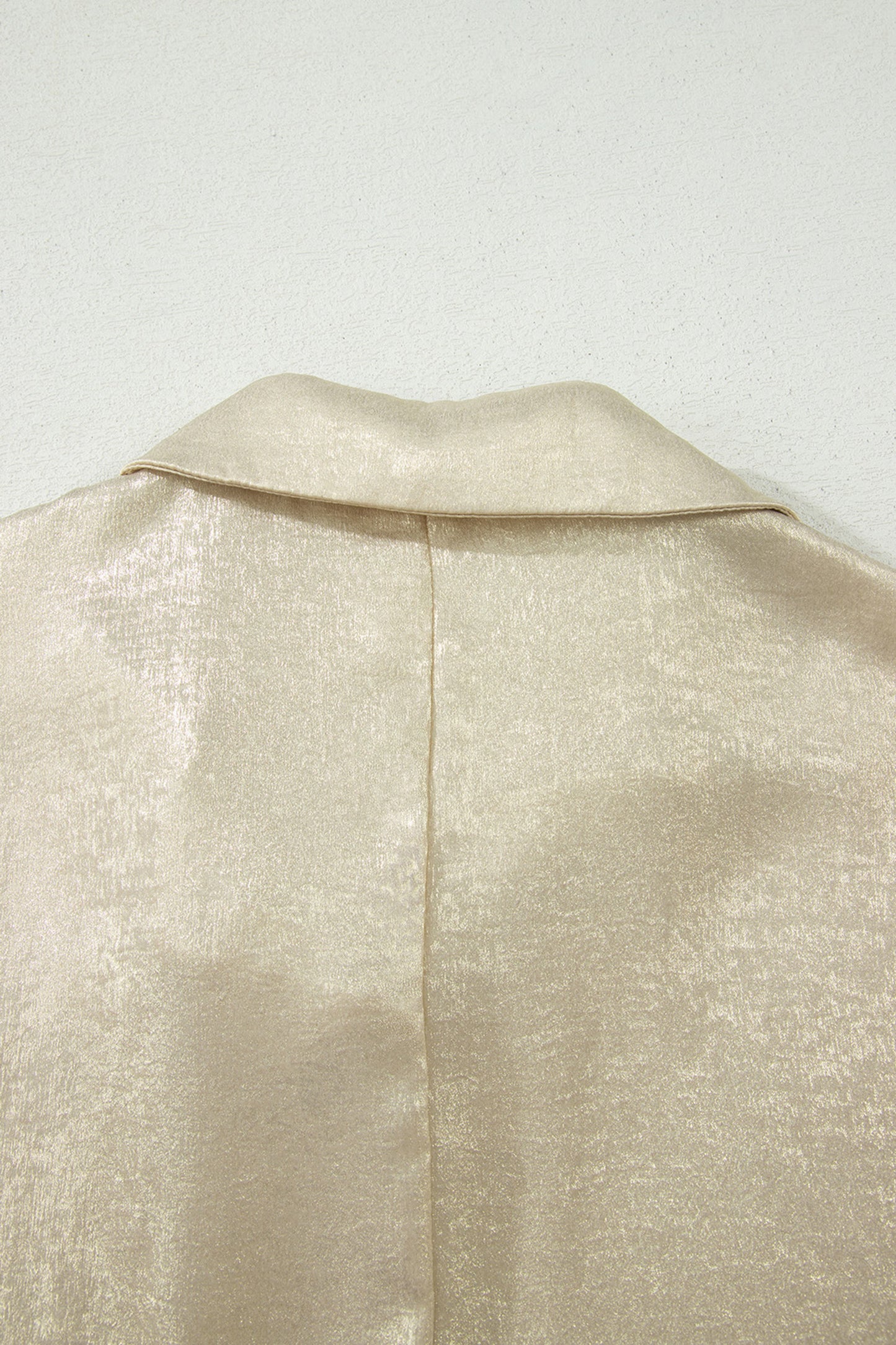 Beige Collared V Neck Half Sleeve Metallic Top