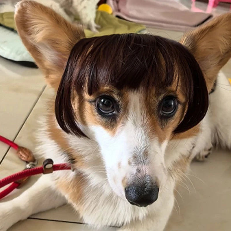 Peluca Creativa Decoración para Mascotas Peluca Delgada Ligera Suave para Gatos Suministros para Mascotas Peluca Divertida para Gatos Peluca Recortable para Mascotas Suministros para Pelucas de Gatos Accesorios para Mascotas
