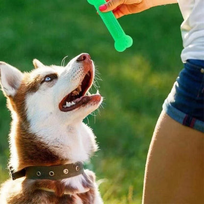 Juguetes para masticar para perros Hot Sale, juguete de hueso de goma para masticadores agresivos, cepillo de dientes para perros, cuidado dental para cachorros, accesorios para mascotas