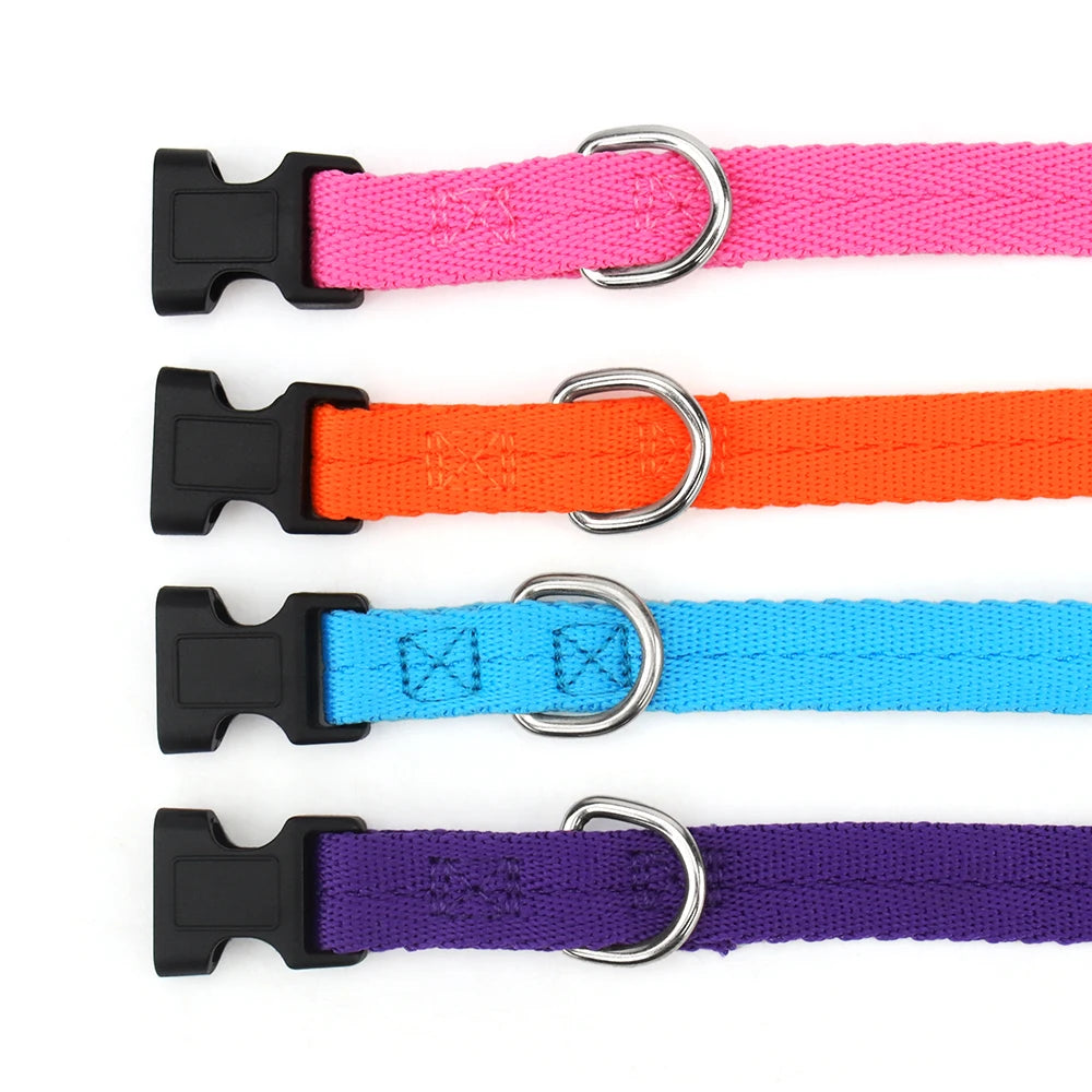 Collares de perro ajustables para perros pequeños, medianos y grandes, cinta de nailon delgada y hebilla de plástico de liberación rápida, accesorios para mascotas