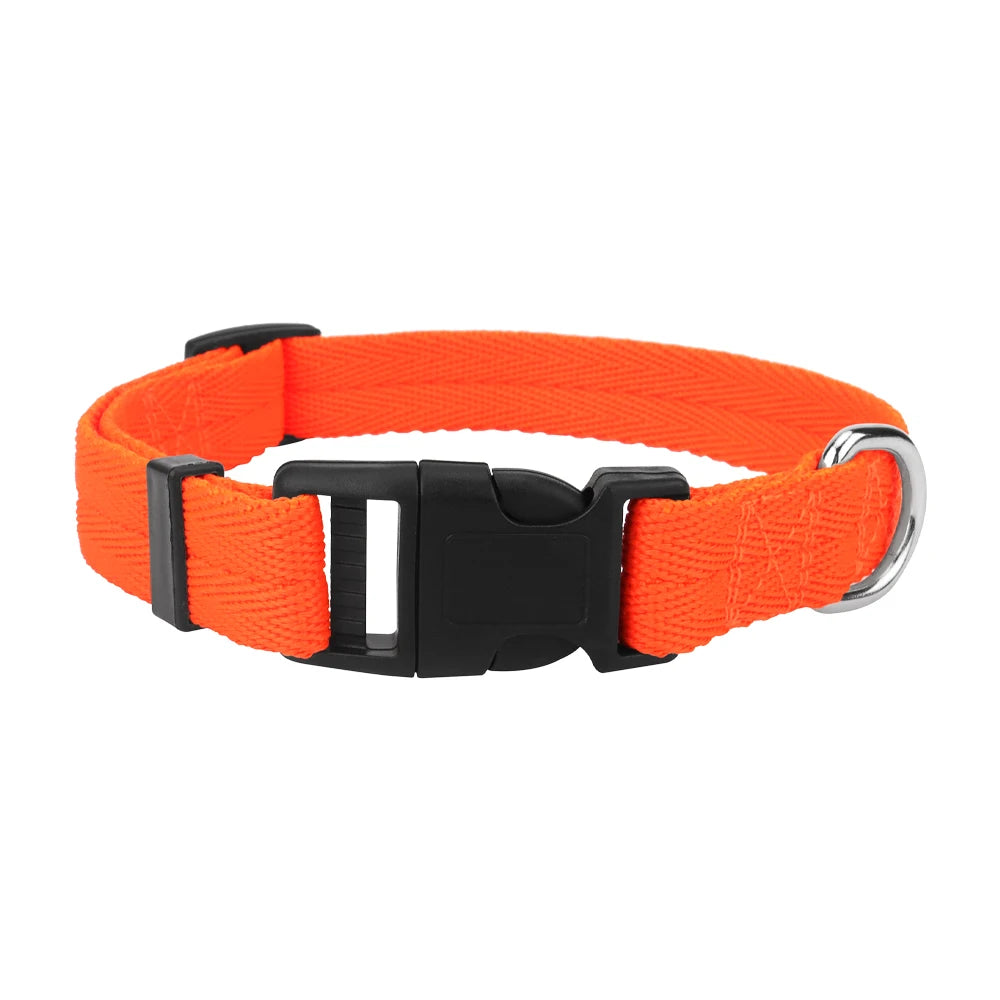 Collares de perro ajustables para perros pequeños, medianos y grandes, cinta de nailon delgada y hebilla de plástico de liberación rápida, accesorios para mascotas