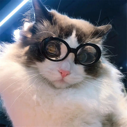 Gafas de gato, gafas de sol redondas de moda, producto para mascotas pequeñas, gafas de sol para gatos y perros pequeños para fotografía, accesorios para mascotas