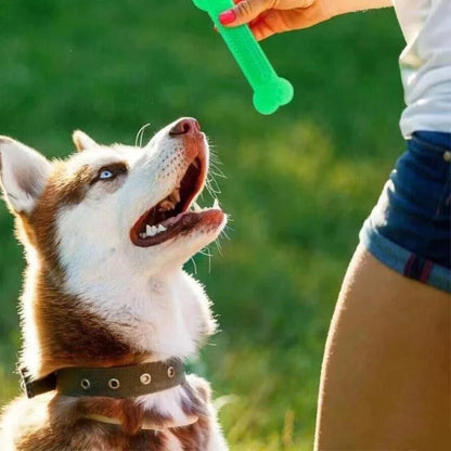 Juguetes para masticar para perros Hot Sale, juguete de hueso de goma para masticadores agresivos, cepillo de dientes para perros, cuidado dental para cachorros, accesorios para mascotas