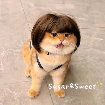 Peluca Creativa Decoración para Mascotas Peluca Delgada Ligera Suave para Gatos Suministros para Mascotas Peluca Divertida para Gatos Peluca Recortable para Mascotas Suministros para Pelucas de Gatos Accesorios para Mascotas