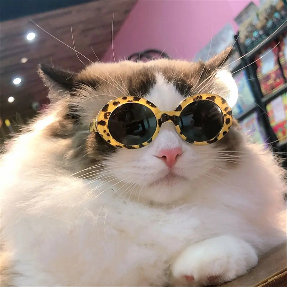 Gafas de gato, gafas de sol redondas de moda, producto para mascotas pequeñas, gafas de sol para gatos y perros pequeños para fotografía, accesorios para mascotas