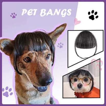Peluca Creativa Decoración para Mascotas Peluca Delgada Ligera Suave para Gatos Suministros para Mascotas Peluca Divertida para Gatos Peluca Recortable para Mascotas Suministros para Pelucas de Gatos Accesorios para Mascotas