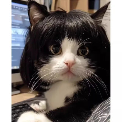 Peluca Creativa Decoración para Mascotas Peluca Delgada Ligera Suave para Gatos Suministros para Mascotas Peluca Divertida para Gatos Peluca Recortable para Mascotas Suministros para Pelucas de Gatos Accesorios para Mascotas
