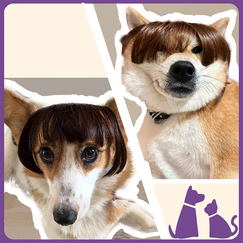 Peluca Creativa Decoración para Mascotas Peluca Delgada Ligera Suave para Gatos Suministros para Mascotas Peluca Divertida para Gatos Peluca Recortable para Mascotas Suministros para Pelucas de Gatos Accesorios para Mascotas