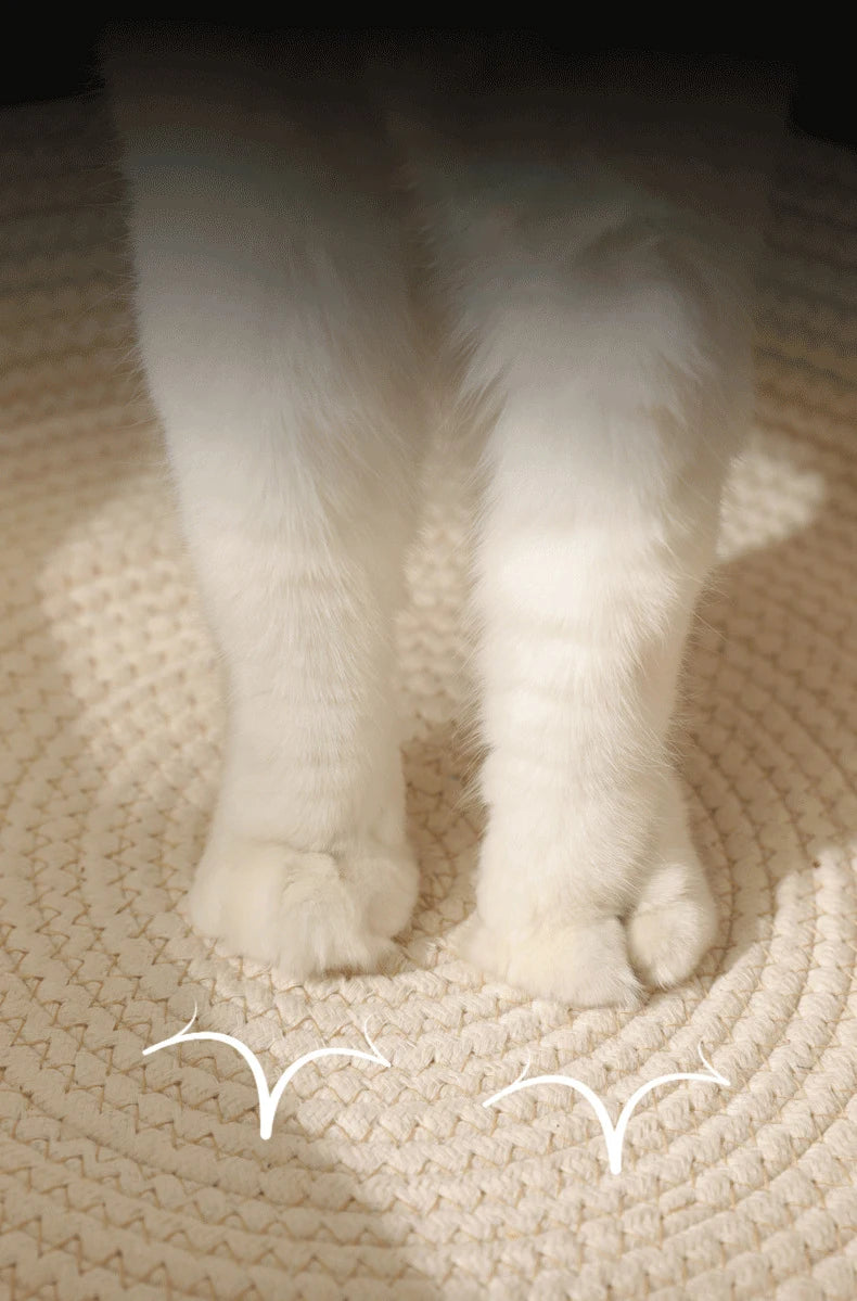 Cat Bed Pet Nest Pure Manual Rattan Woven Cattailgrass Cat Scratch Board Removable Washable Winter Warm Pad All-Season