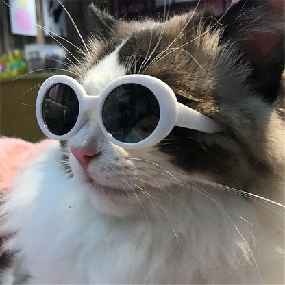 Gafas de gato, gafas de sol redondas de moda, producto para mascotas pequeñas, gafas de sol para gatos y perros pequeños para fotografía, accesorios para mascotas