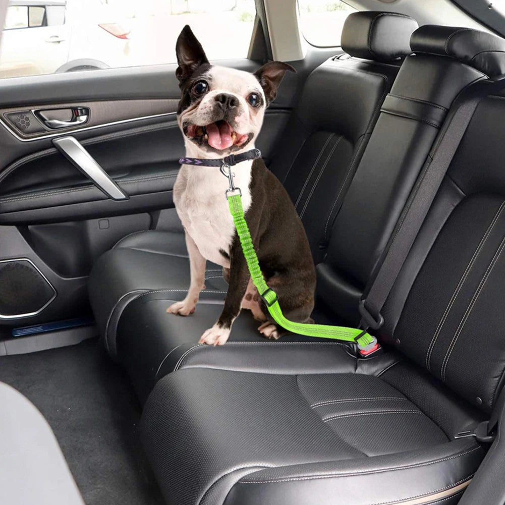 Cinturón de seguridad para coche de mascotas, correa de nailon para vehículos, asiento trasero, cinturón de seguridad ajustable para perros, arnés, collar, accesorios para mascotas para paseos al aire libre