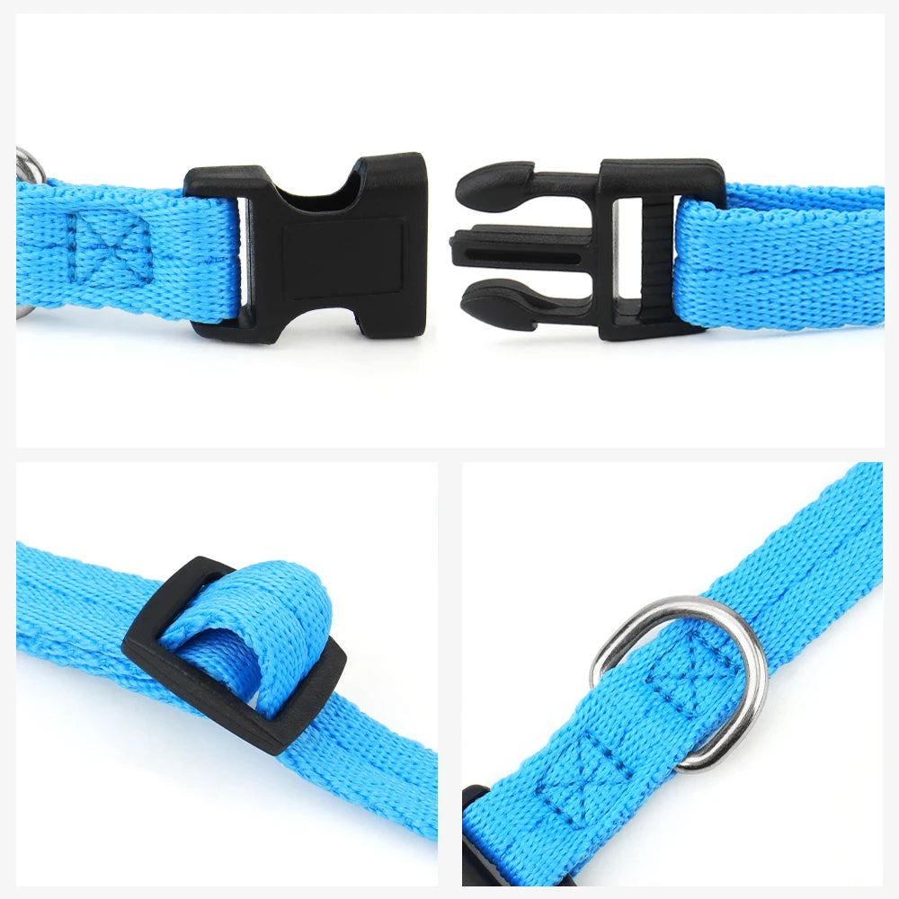 Collares de perro ajustables para perros pequeños, medianos y grandes, cinta de nailon delgada y hebilla de plástico de liberación rápida, accesorios para mascotas