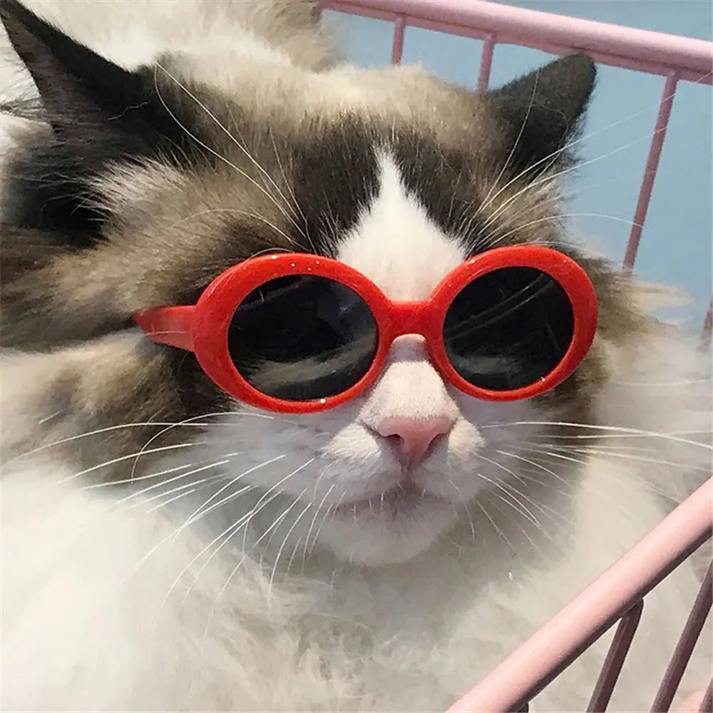 Gafas de gato, gafas de sol redondas de moda, producto para mascotas pequeñas, gafas de sol para gatos y perros pequeños para fotografía, accesorios para mascotas